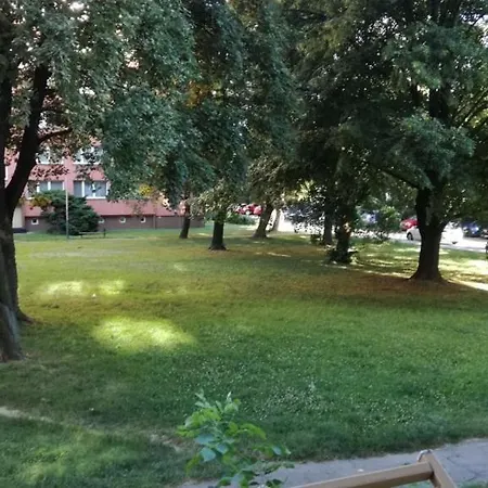 Flat For 2 People, Wifi Apartment Ostrava Exterior photo